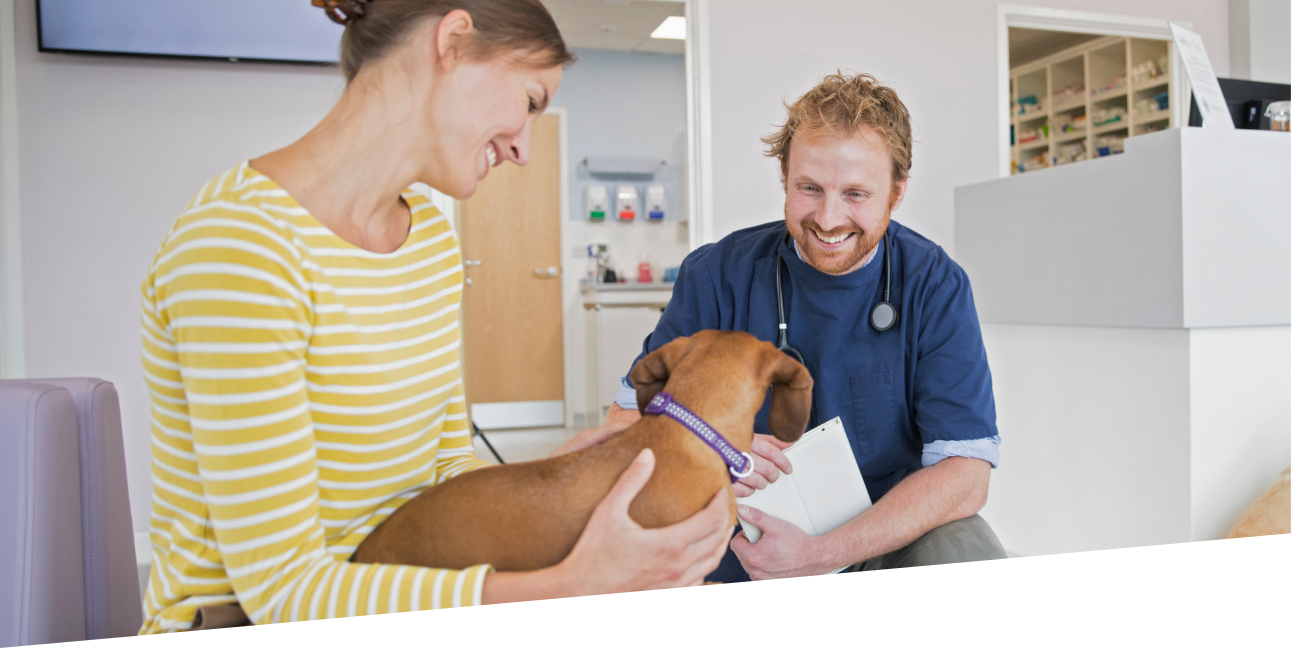 Healthier Pets Demo