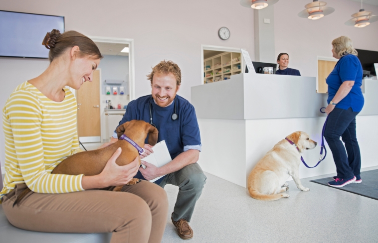 https://migrated.healthier-pets.com/wp-content/uploads/2022/06/lowest.jpg